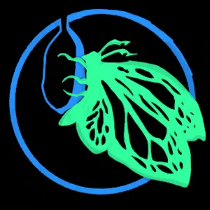 chrysalisshard