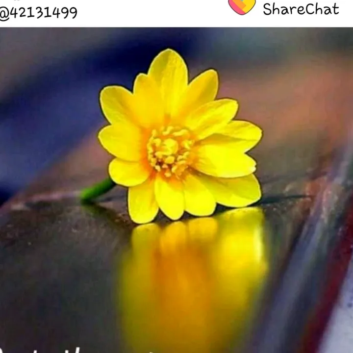 @sathnamteddy