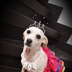 gabyloveoficial