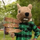 @campfimfo