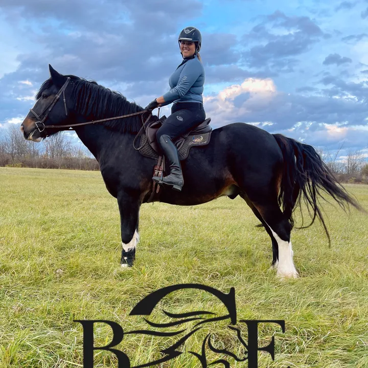 bceapparel