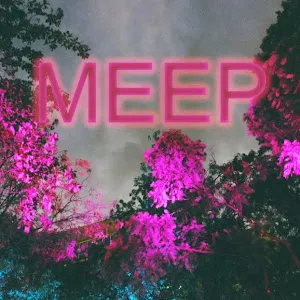__meep_meep__