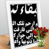 mostafaragab3893