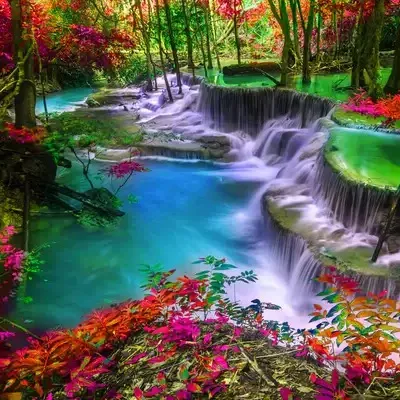 @.art_coves