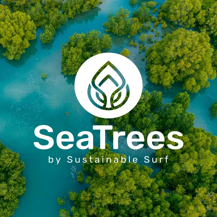 sustainablesurf