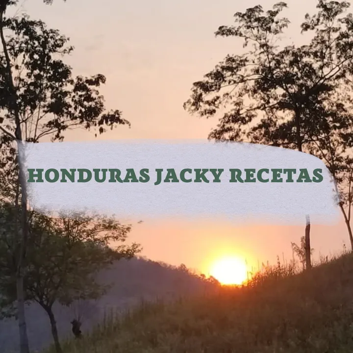 @hondurasjackyrecetas