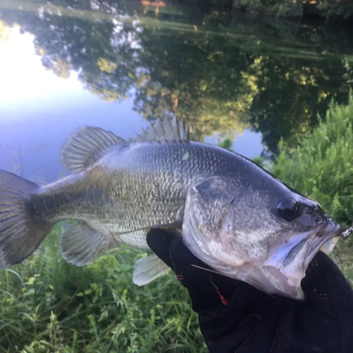 thefishingnc
