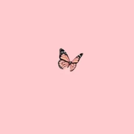 melissamoorman992