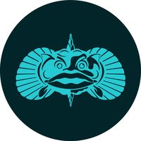 toadfishoutfitters
