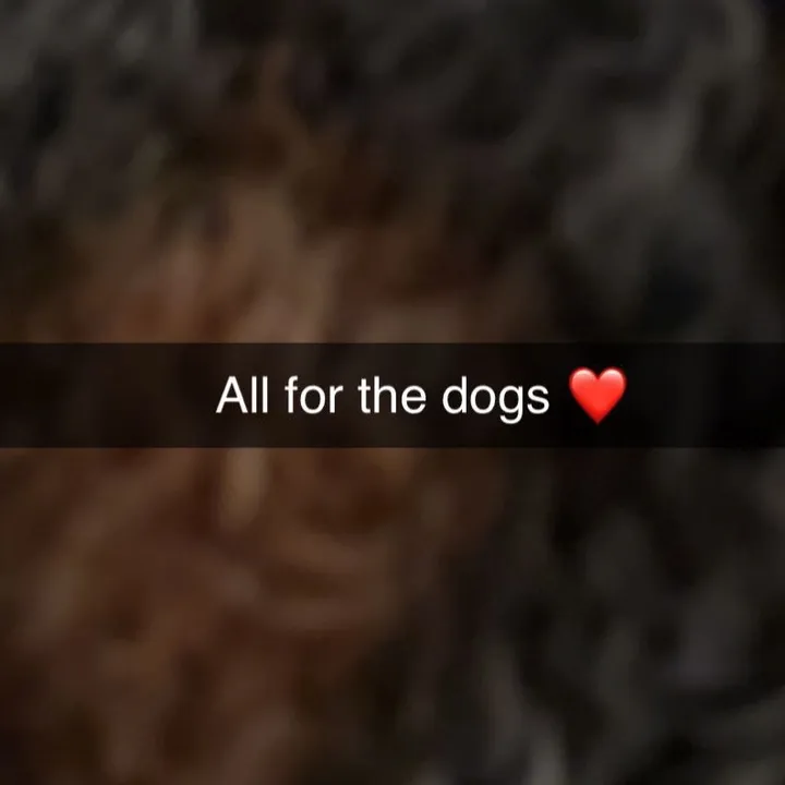 woycheesepups