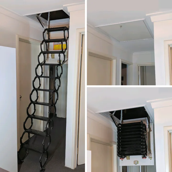 renee_atticladder