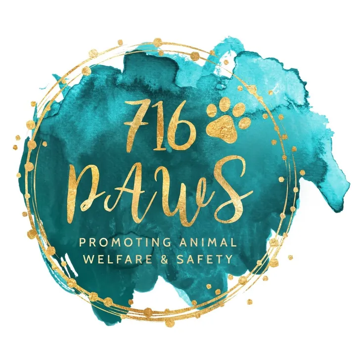 seven16paws