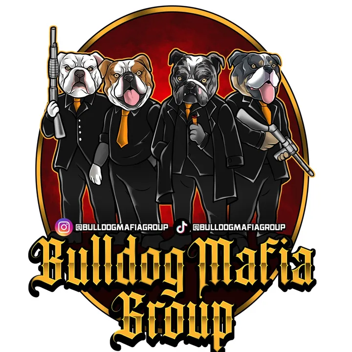 bulldogmafiagroup