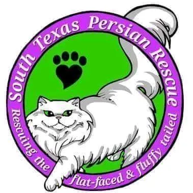 stxpersianrescue