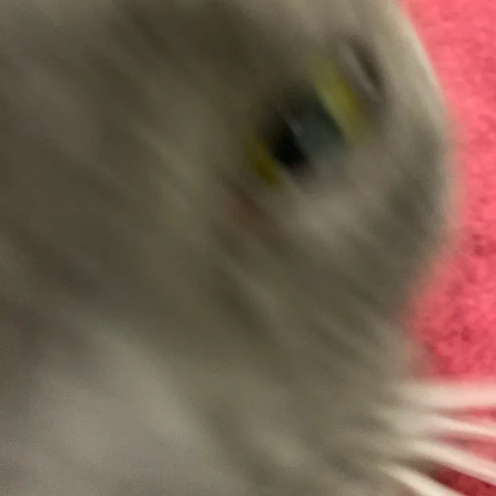 z0mbi3eee
