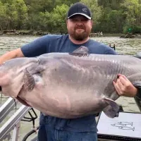 @southerncatfish