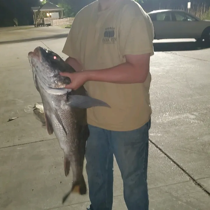 love2fish27