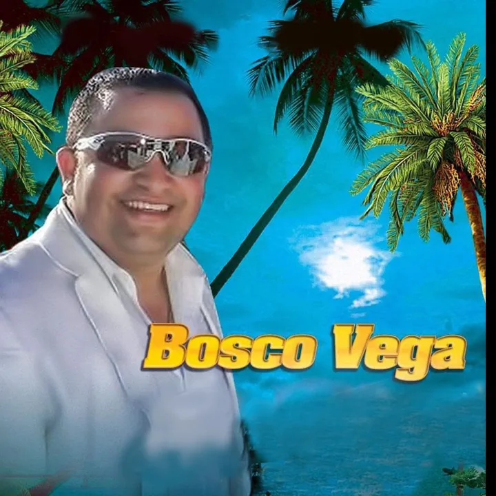 boscovega15