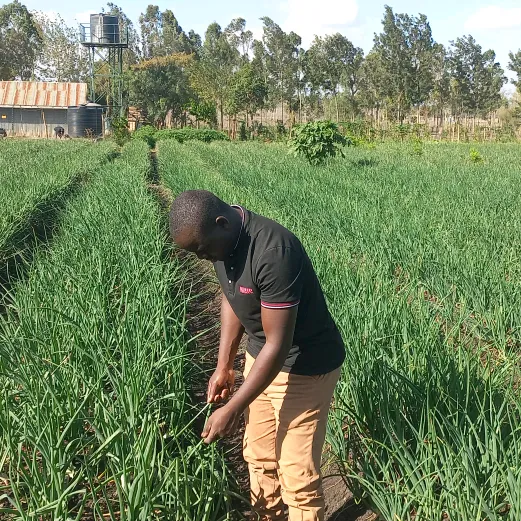 agriirrigation_solutions