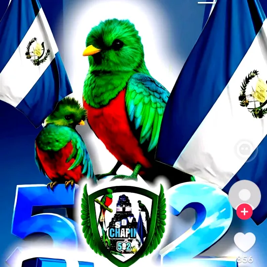 @josejose9626