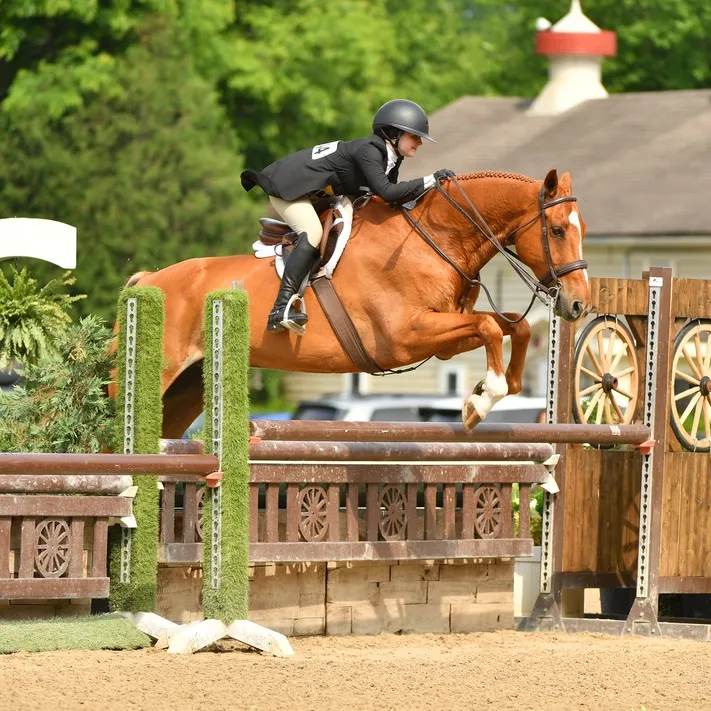 @eglequestrian