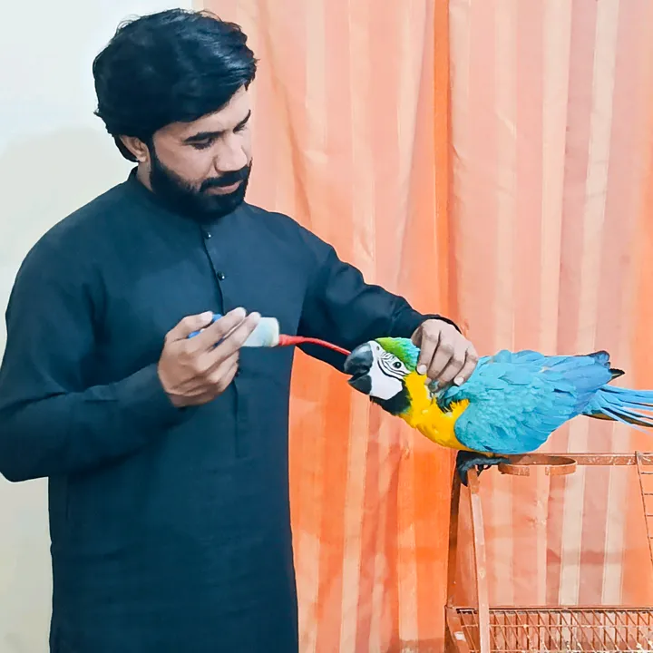@mehtabpets160