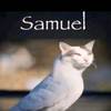 sigma.samuelcatbird2
