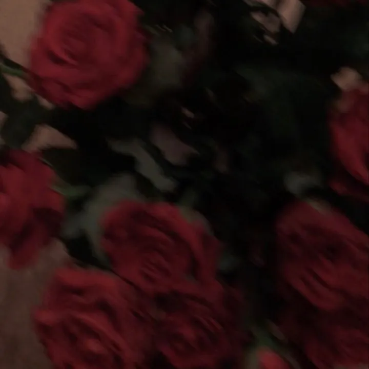 vrwlxds