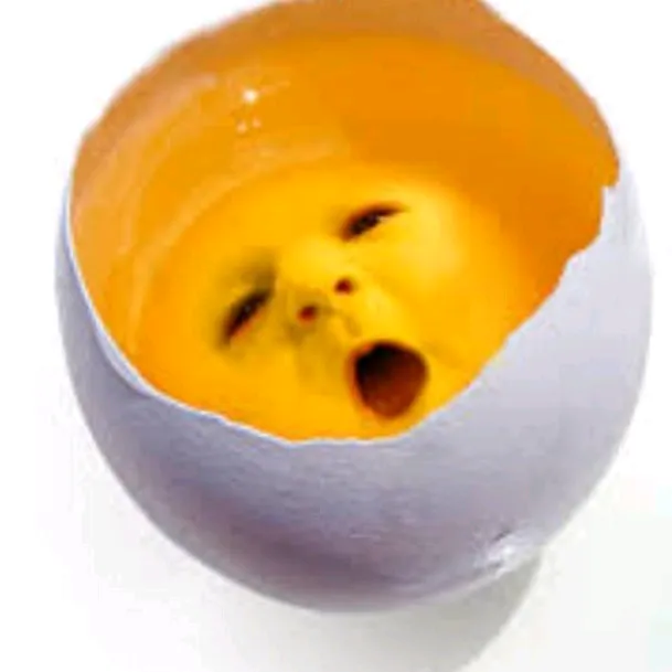 cickapiva