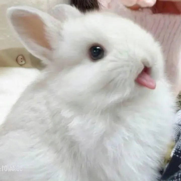 @_bunn11_