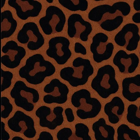 asiorclothing.store