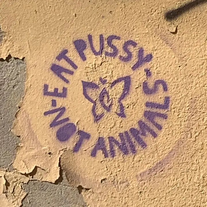 traperapit - suono originale