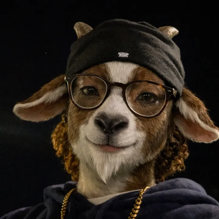 2littylachaii