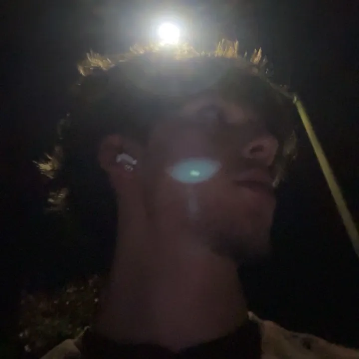 notnoahtersigni