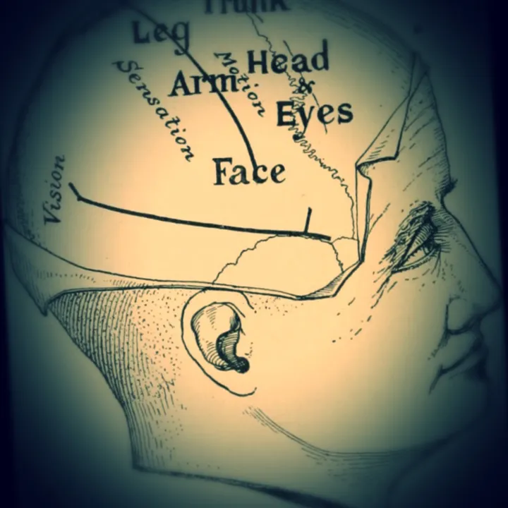 @thepsychologybehindit