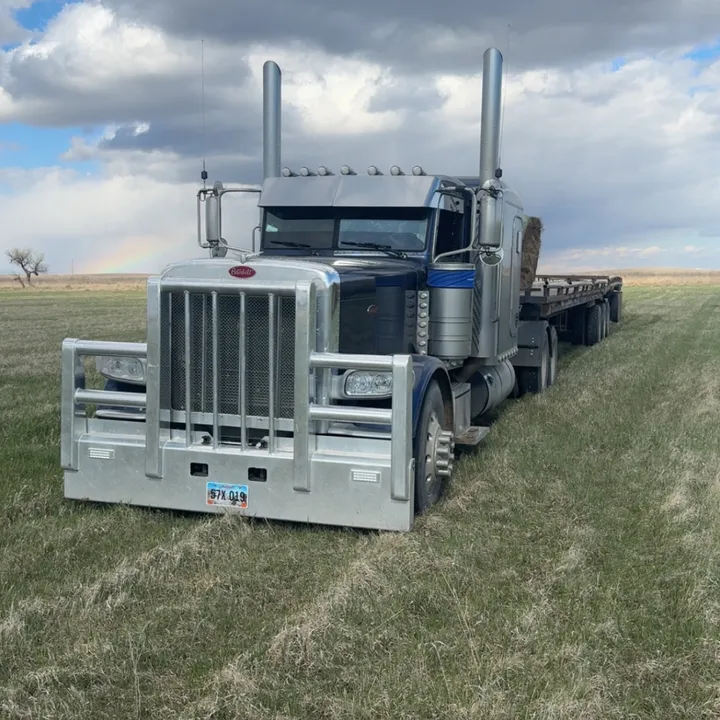 blue379pete