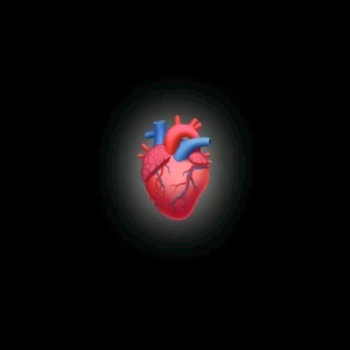@Danny🦦 - suara asli