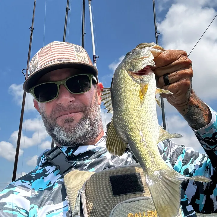 chasinfish
