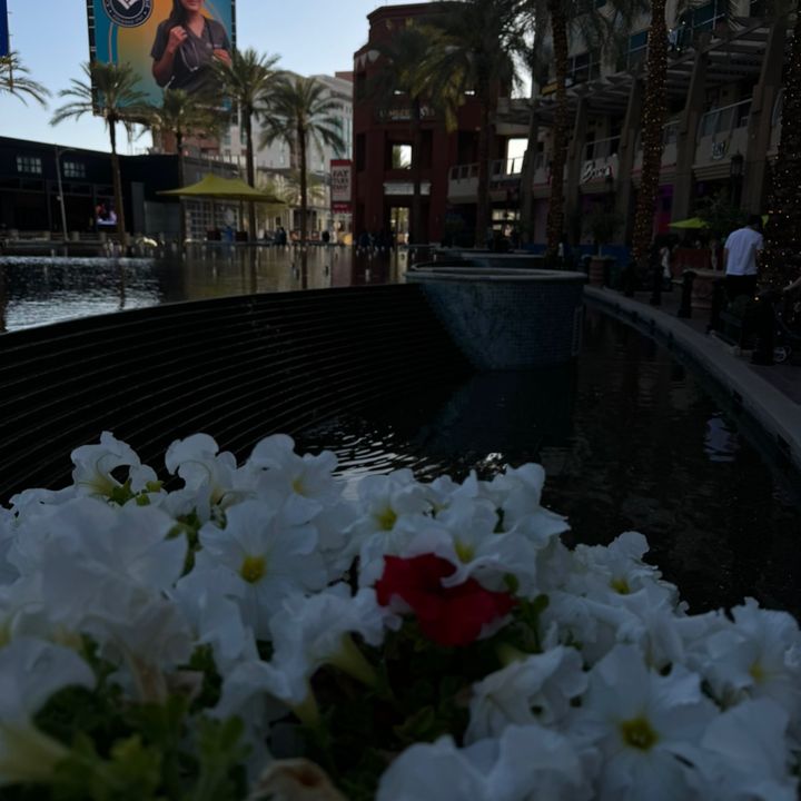 az._.arianna20