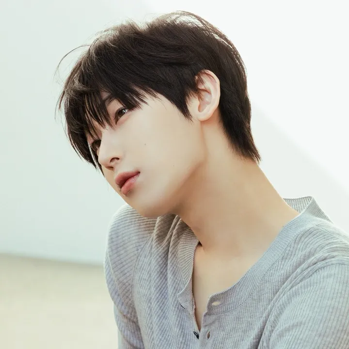 @sunookiwis