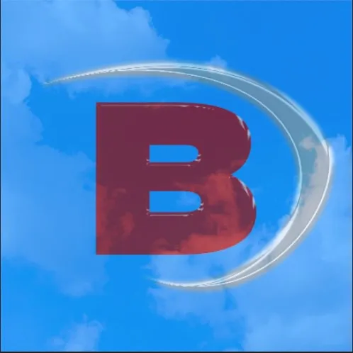 blumereceipts
