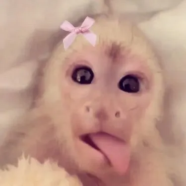 mmadisonskyee