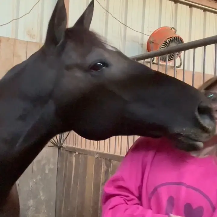 @etta.corbell_eq