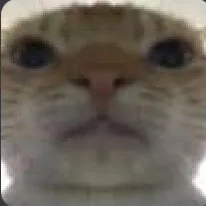 @yoaniscool33
