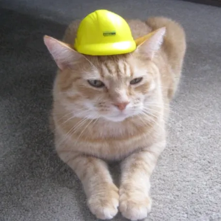 @safety.cat0