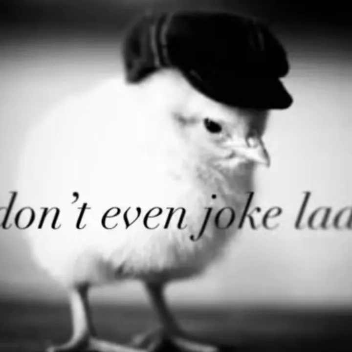 @vegetables023