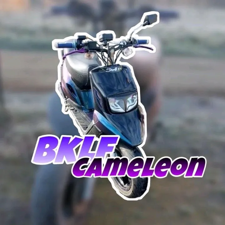 bklf_cameleon