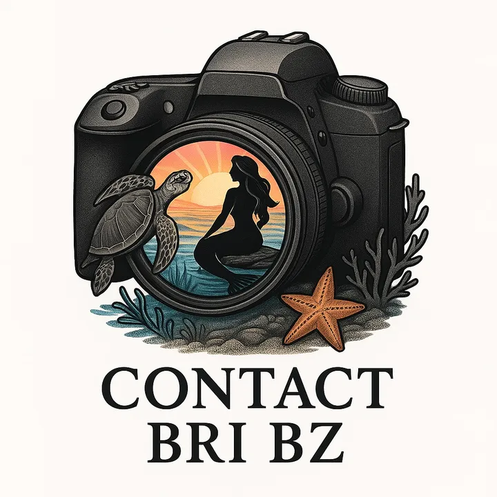 @contactbri_bz