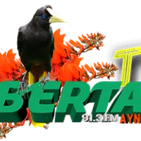 libertadaynipositiva7