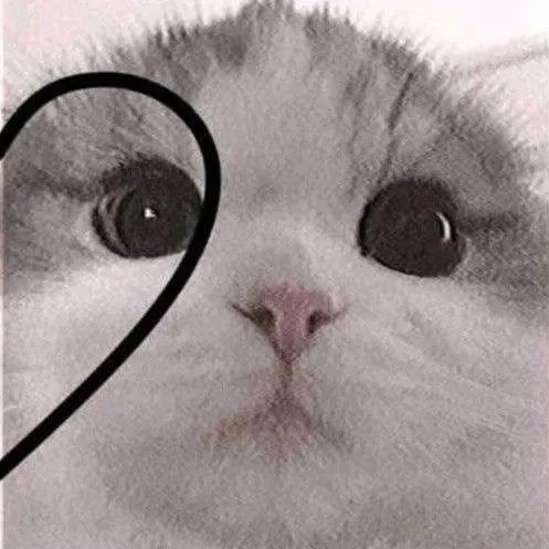 ally_exists